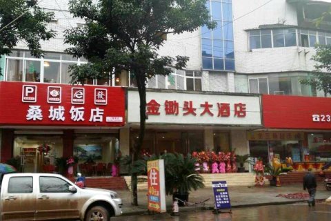 乐至金锄头大酒店