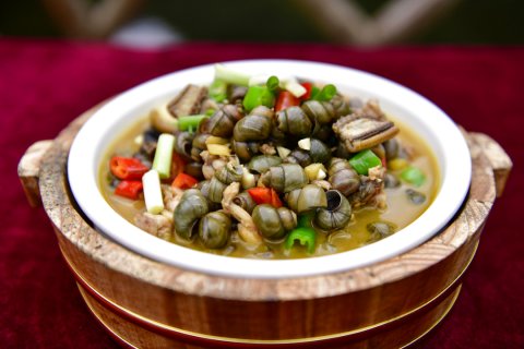 桐庐天子地森林康养度假酒店