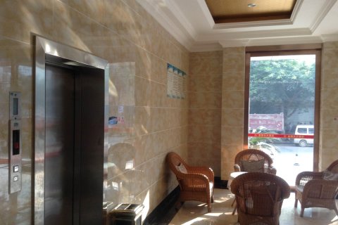 乐至金锄头大酒店