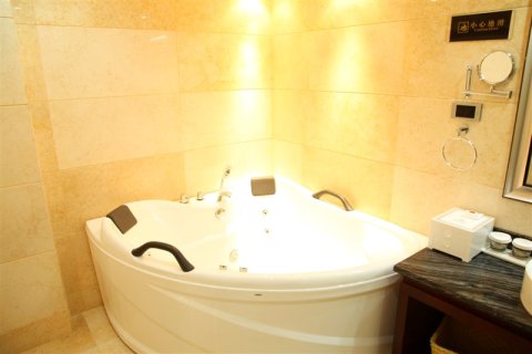 乡城德勒大酒店