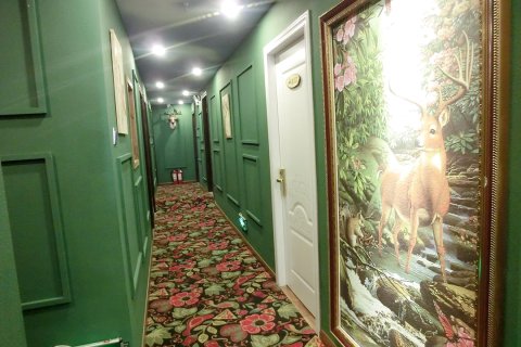 百麓园主题酒店(长沙五一广场IFS国金中心店)