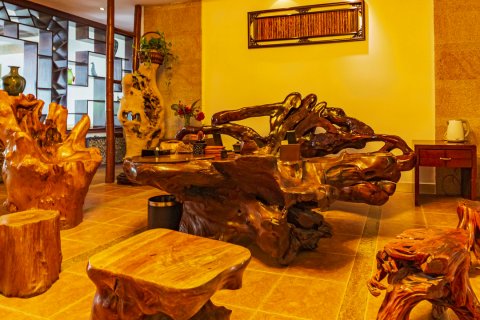 和平热龙温泉度假村