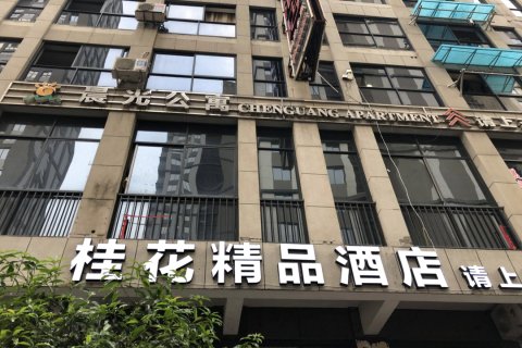 龙泉桂花精品酒店