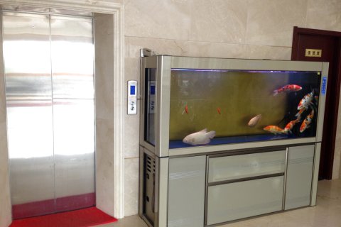 通山君悦商务宾馆