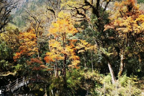 海螺沟一念时光旅舍