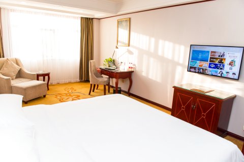 维也纳酒店(颍上迎宾大道管仲老街店)