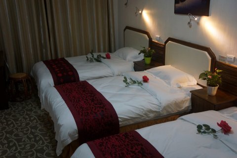 扶沟星辰主题酒店