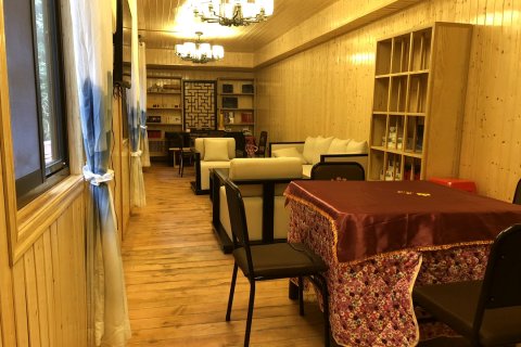 安化摘星楼民宿