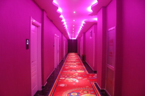 偃师斯威特·茜茜主题酒店