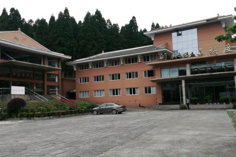 文成铜铃山森林度假村