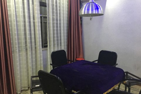 桃江桃花美人艺术酒店