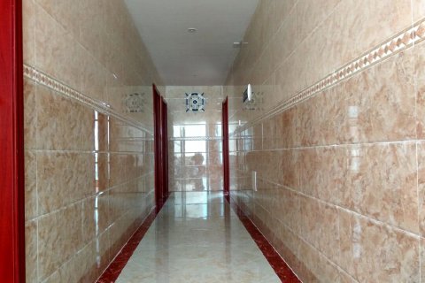 珠海外伶仃幸福岛屿客栈