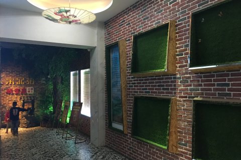 桃江桃花美人艺术酒店