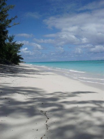 鹈鹕海滩酒店(Pelican Beach Hotel)