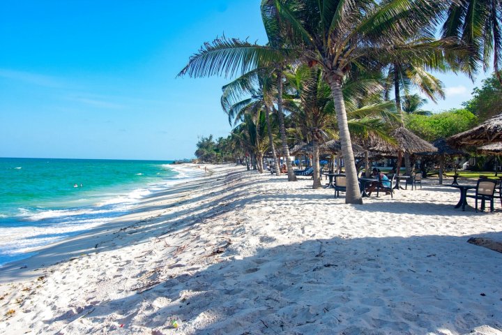 蓝花楹印度洋海滩度假村(Jacaranda Indian Ocean Beach Resort)