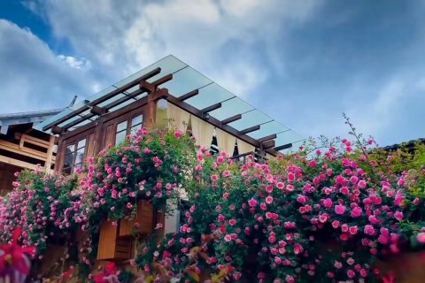 沙溪古镇五月念人文客栈