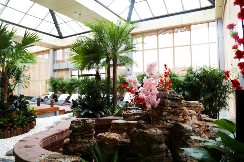 涞源白桦林温泉谷酒店