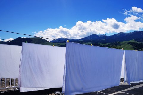 那拉提镇双庭民宿