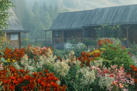 禾木时光里花园民宿