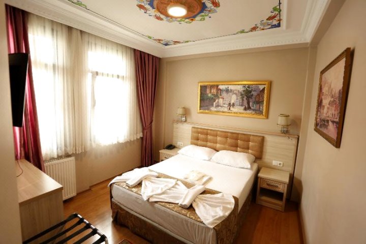 伊斯坦布尔塔西克纳克酒店(Hotel Tashkonak Istanbul)