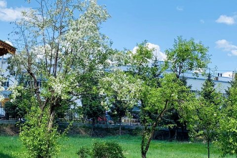 根河冷极58度宾馆