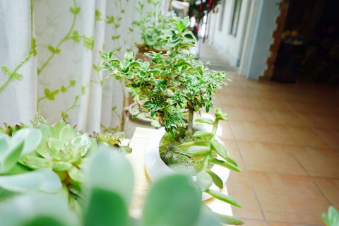 时光驿青年客栈(桂林火车站店)