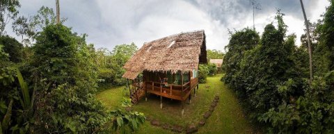 阿玛克伊基托斯生态小屋旅馆(Amak Iquitos Ecolodge - All Inclusive)