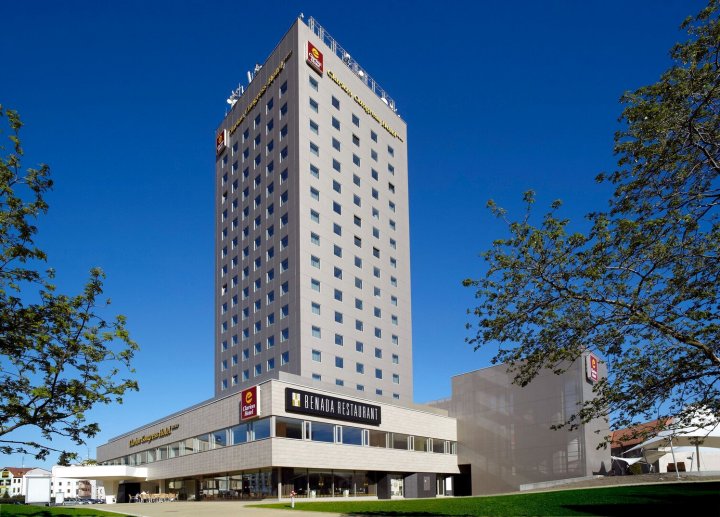 捷克布杰约维采克拉丽奥酒店(Clarion Congress Hotel České Budějovice)