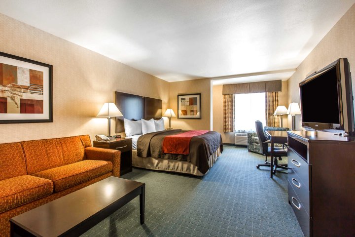 科尔顿舒适套房酒店(Comfort Inn and Suites Colton/San Bernardino)