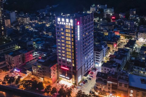 麗枫酒店(河源紫金店)(近宝成商业广场)