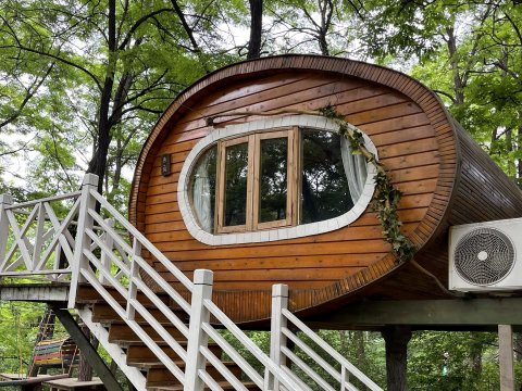 宜君伴山树屋民宿
