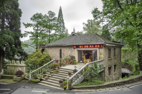 莫干山柒叶树下酒店