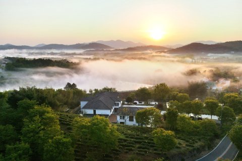 溧阳印象天目·轻奢茶生活美学·团建聚会Villa