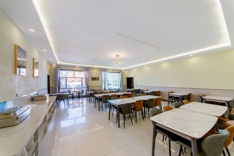 布尔津百顺假日酒店(喀纳斯塔桥中俄老码头风情街景区店)