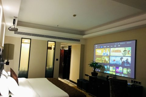 常德新亚柳叶国际大酒店( 武陵阁步行街店 )