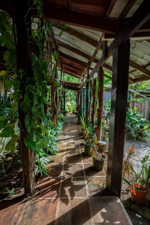 月之公主生态小屋旅馆(Princesa de la Luna Ecolodge)