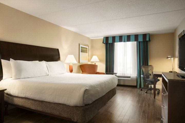 希尔顿花园酒店 - 多伦多/旺市(Hilton Garden Inn Toronto/Vaughan)
