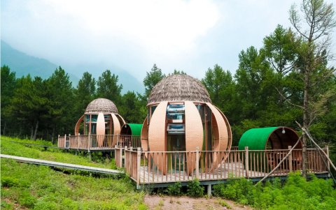 北京后视镜星空营地