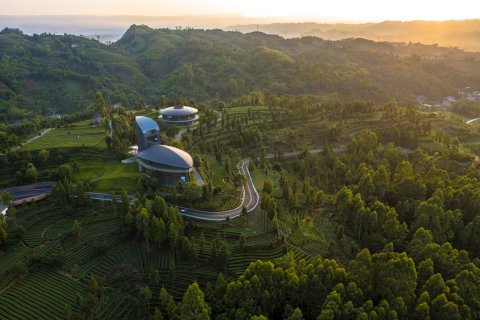 洪雅锦江青杠坪·茶客空间民宿