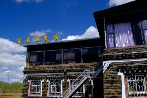 康定塔公夏央林民宿