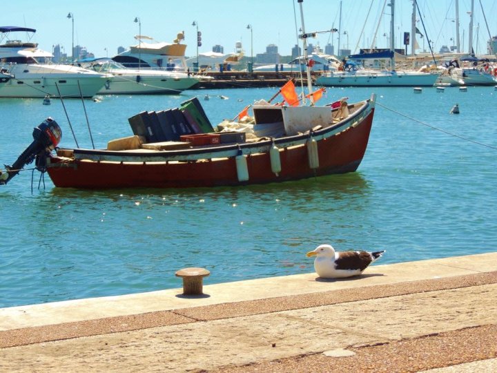 Increible Vista al mar Centro de Punta del Este