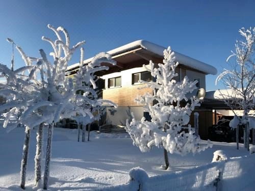 Designferienhaus Altenmarkt Zauchensee