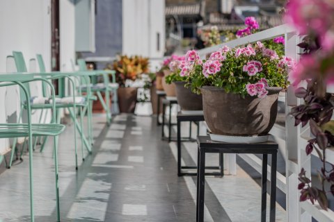 大理三分之一客栈