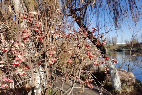 派酒店(伊宁华瑞汉人街喀赞其大巴扎店)