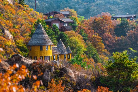 云峰山童话树屋