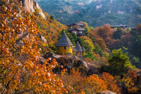 云峰山童话树屋