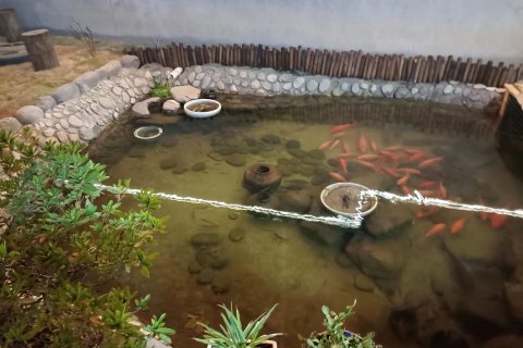 瑶里平常人家农家院