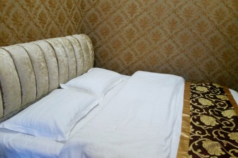 洪雅宋氏酒楼商务住宿