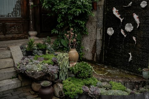 时光清浅精品客栈(丽江古城店)