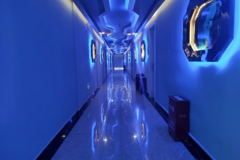 定南天虹假日酒店